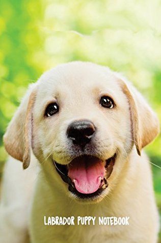 Read online Labrador Puppy Notebook: 6 x 9 inch dog journal, dot grid bullet journal, 200 pages -  file in ePub