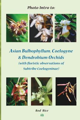 Read online Photo Intro to: Asian Bulbophyllum, Coelogyne & Dendrobium Orchids (with Floristic Observations of Subtribe Coelogyninae) - Rod Rice file in PDF