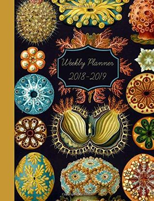 Download Weekly Planner 2018-2019: 16 Month Academic planner,Agenda,Student,Family,Simple,Diary,journal,Annual organizer,schedule,Week to view, Personal  of appointments,goals,meetings,work outs - Lemon Planeroo file in PDF