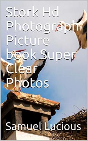 Download Stork Hd Photograph Picture book Super Clear Photos - Samuel Lucious file in PDF
