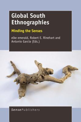 Download Global South Ethnographies: Minding the Senses - Elke Emerald | ePub