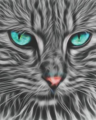 Read 2019-2020 Academic Planner Weekly and Monthly Cat Feline Fractal - Zone365 Creative Journals file in PDF