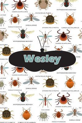 Read Wesley: Bug Insect Draw and Write Journal Notebook 120 Pages 6x9 -  file in PDF