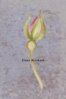 Read online Steno Notebook: Pitman Shorthand Teenline Stenography Paper Line Composition Notebook Creative Notepad, Gregg Rule Writing Book for Reporters Journalist or Secretaries Rose Flower Theme - Craig O Pitt | PDF